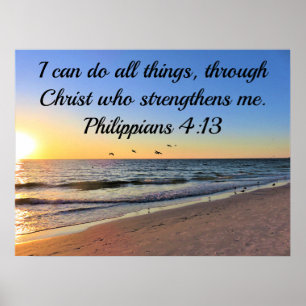 FISKMÅS OCH SUNRISE PHILIPPIANS 4:13 SCRIPTURE POSTER