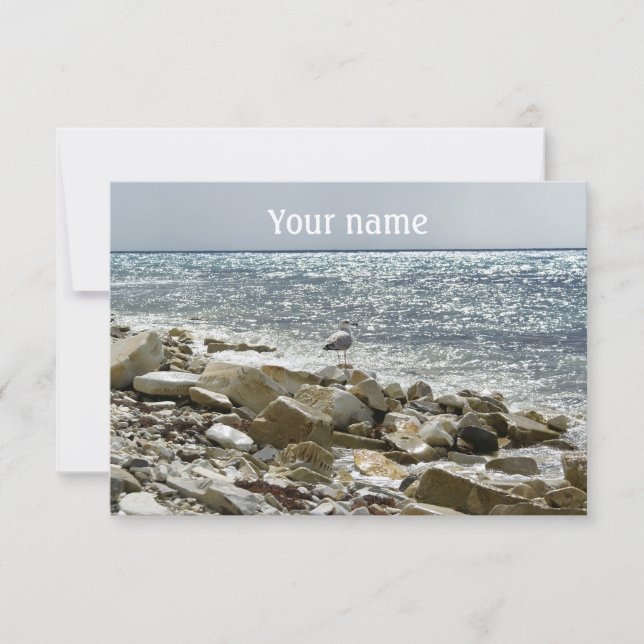 fiskmås och surfan till havs kort (Framsida)