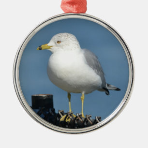 Fiskmås Ornament