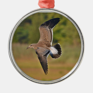 Fiskmås Ornament