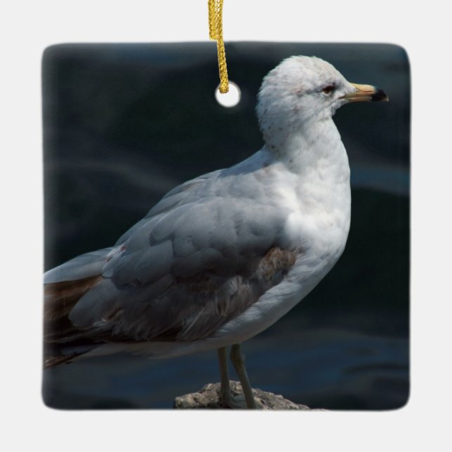 Fiskmås Ornament (Framsida)