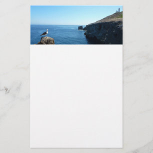 Fiskmås på Anacapa Island vid Channel Islands Brevpapper