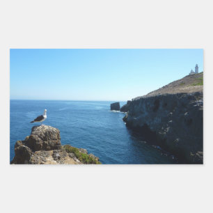 Fiskmås på Anacapa Island vid Channel Islands Rektangulärt Klistermärke