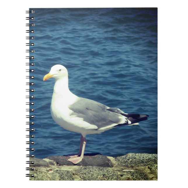 Fiskmås på bukten anteckningsbok (Framsidan)