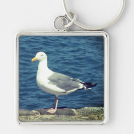 Fiskmås på bukten fyrkantig silverfärgad nyckelring