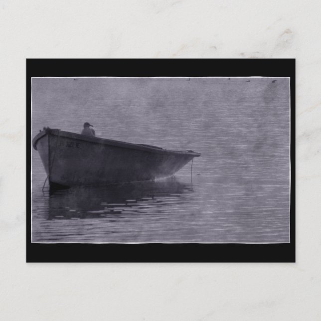 Fiskmås på Mist. Vykort (Framsida)