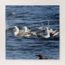 Fiskmås på Oceans Acrylic Jigszle Puzzle