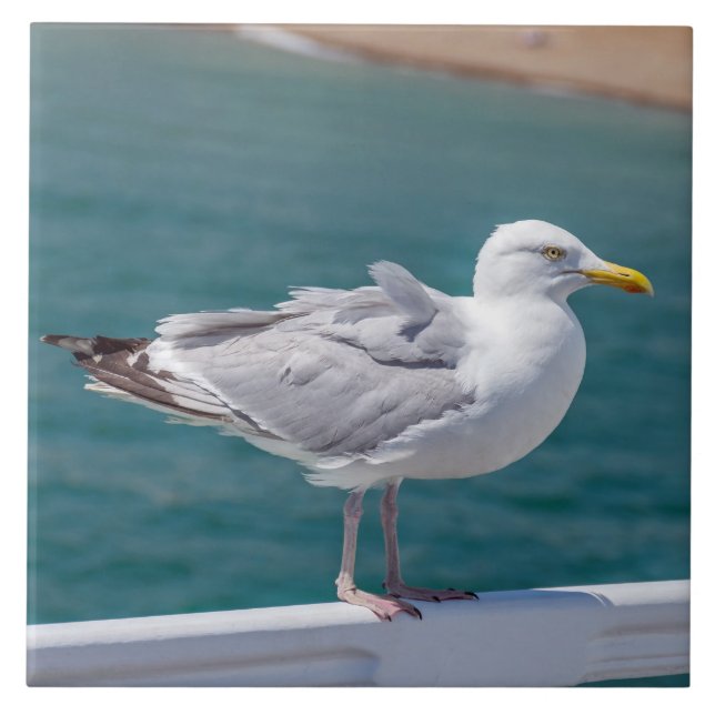 Fiskmås på rälsen, se keramiskt plattor kakelplatta (Framsidan)