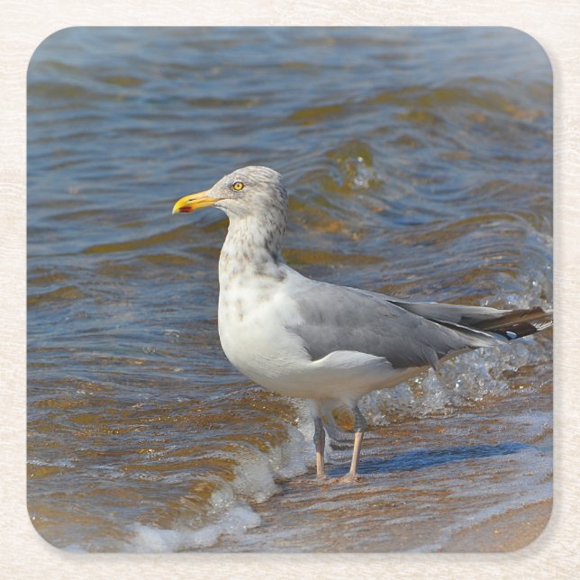 Fiskmås Party Underlägg Papper Kvadrat (Framsidan)