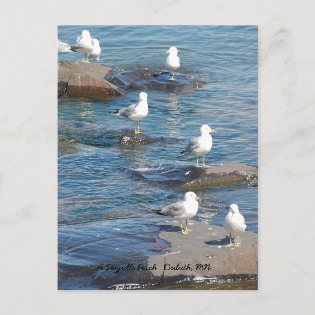 Fiskmås Perch, A Fiskmås Perch Duluth, MN Vykort (Framsida)