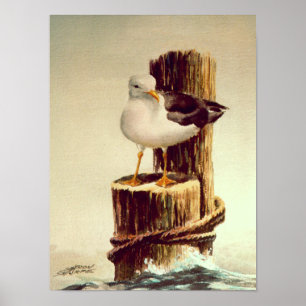 FISKMÅS & PILINGS 2 AV SHARON SHARPE POSTER