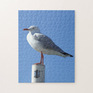 Fiskmås Puzzle Pussel
