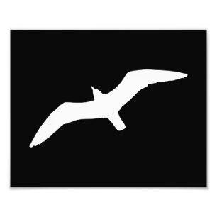 Fiskmås Shape Fototryck