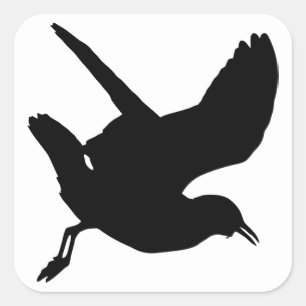 Fiskmås Silhouette Fyrkantigt Klistermärke