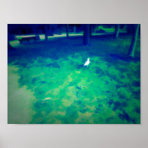 Fiskmås som går på konsteffekter för gräddning