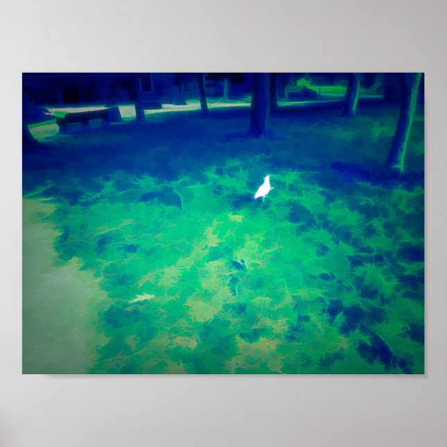 Fiskmås som går på konsteffekter för gräddning poster (Framsidan)