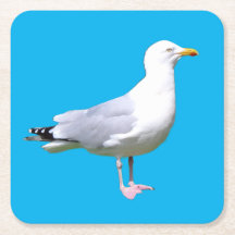 Fiskmås ständiga Underlägg