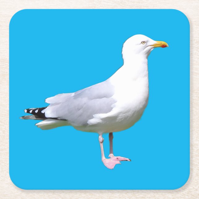 Fiskmås ständiga Underlägg Papper Kvadrat (Framsidan)