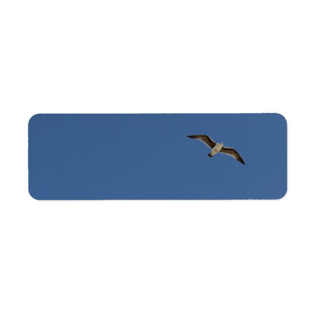 Fiskmås under flygning returadress etikett (Framsidan)