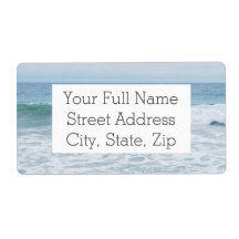 Fiskmås vid Beach i Kalifornien