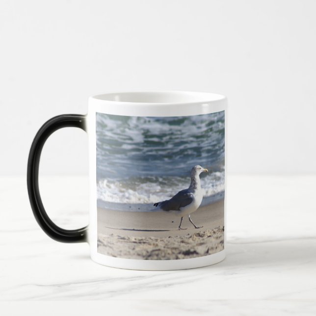 Fiskmås vid Beach Mugg (Vänster)