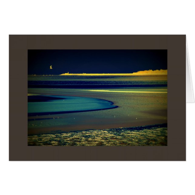 Fiskmås vid havet hälsningskort (Framsidan Horizontal)