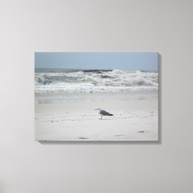 Fiskmås vid havet på Canvas (Framsida)