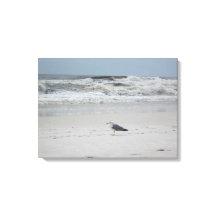 Fiskmås vid havet på Canvas