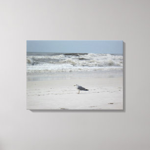 Fiskmås vid havet på Canvas
