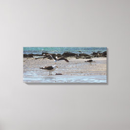 Fiskmås vid kusten canvastryck