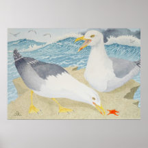 Fiskmås vilar på ett klipp