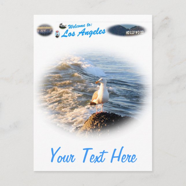 Fiskmås Vykort (Framsida)