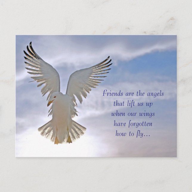 Fiskmås vykort (Framsida)