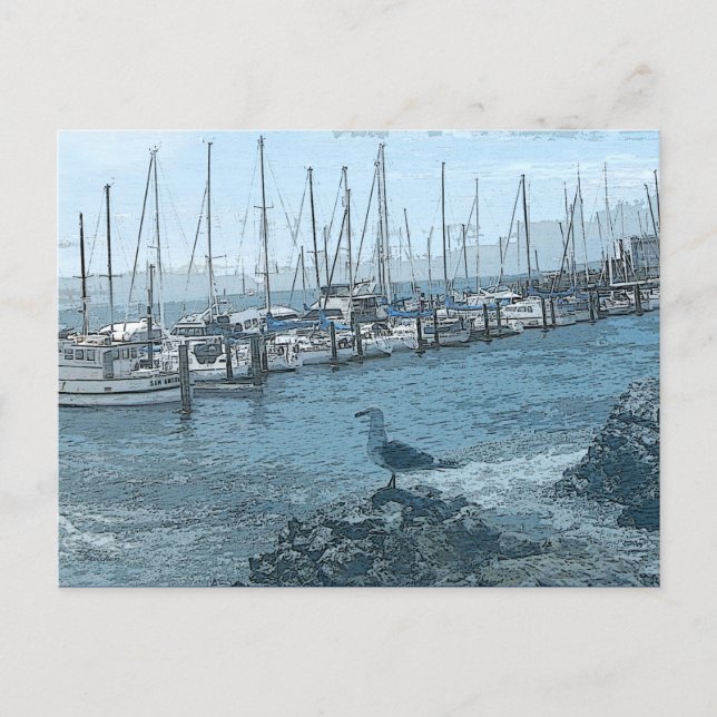 Fiskmås - vykort för vaktbevakning (Framsida)