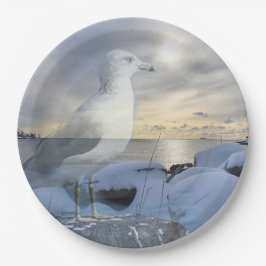 Fiskmås Winter Seashore