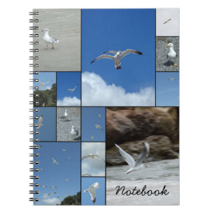 Fiskmåsar anteckningsbok med spiral
