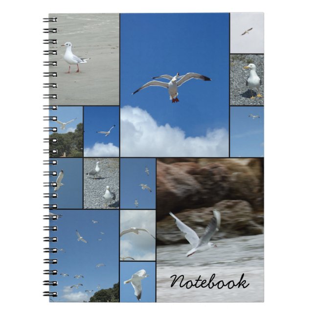 Fiskmåsar anteckningsbok med spiral (Framsidan)