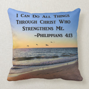 FISKMÅSAR FLYGANDE FILIPPIANER 4:13 PILLOW KUDDE