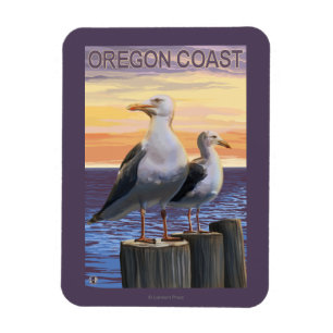 Fiskmåsar för Oregon kustenhav Magnet