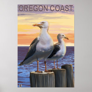 Fiskmåsar för Oregon kustenhav Poster