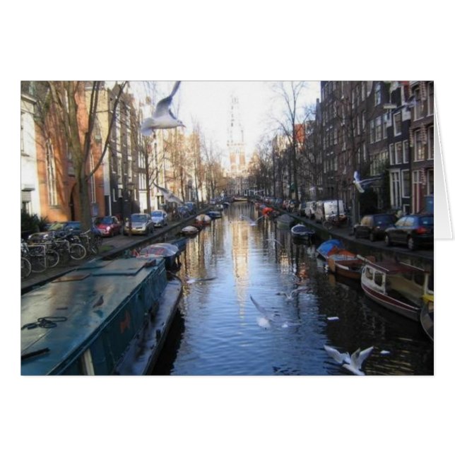 Fiskmåsar Hälsningskort (Framsidan Horizontal)