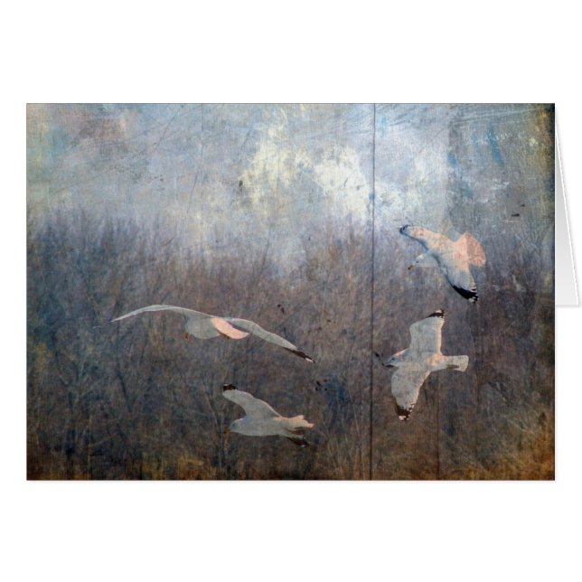 Fiskmåsar Hälsningskort (Framsidan Horizontal)