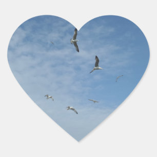 Fiskmåsar Heart Sticker Hjärtformat Klistermärke