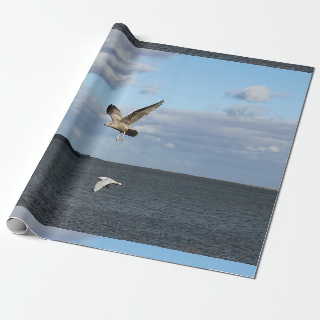 Fiskmåsar i flyg presentpapper (Utrullad)