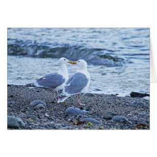 Fiskmåsar Kissing på Beach Photo Hälsningskort