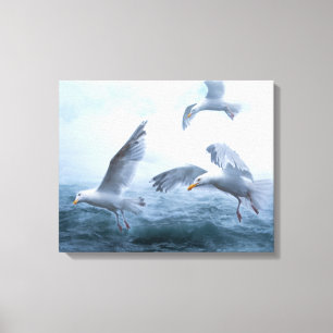 Fiskmåsar över havet canvastryck