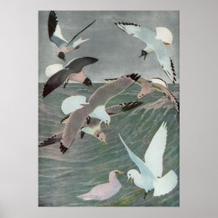 Fiskmåsar över Vinkara oceanen av Louis Agassiz Fu Poster