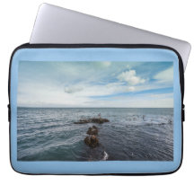 Fiskmåsar som flyger över sten