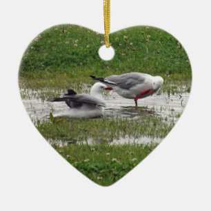 Fiskmåsar tar en bath julgransprydnad keramik