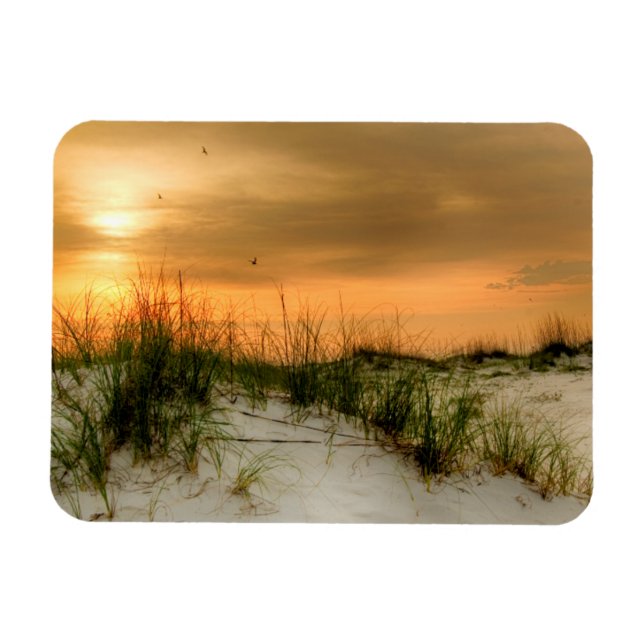 Fiskmåsar vid Soluppgång Magnet (Horisontell)